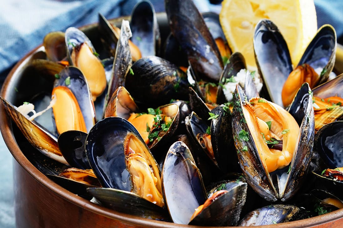 bay of islands best restaurants